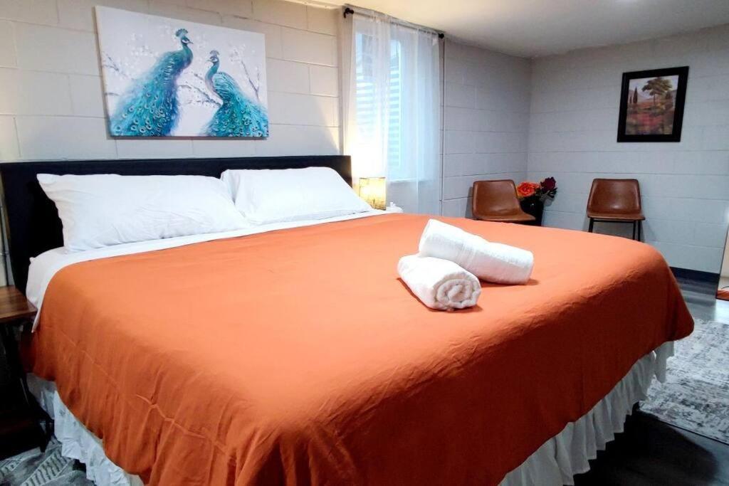 Spacious Suite Close To Downtown Indy/ King Bed Indianapolis Esterno foto
